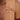 Bracelet Swan étoile - Nacre